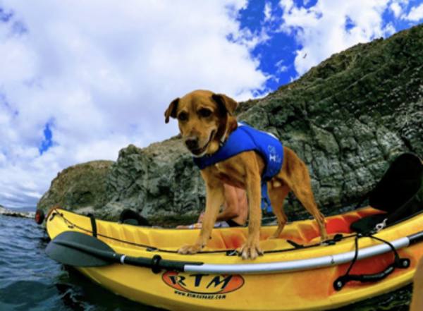 Max en el kayak, Palm-Mar