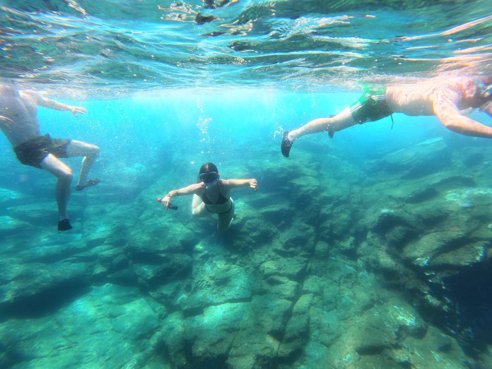 Experiencia privada: solo tú, Laia y el mar - Gran Azul Tours